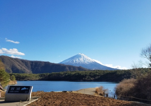 西湖から見た富士山