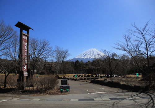 西湖から見た逆さ富士